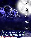 月夜引魂燈 小說