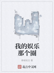 我的娛樂時代小說