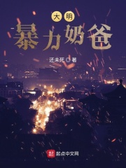 大明暴君崇禎完整版