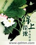 錦上花 小說