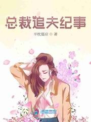 女總裁追夫手冊小說