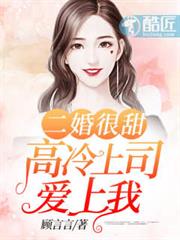 二婚盛寵高冷上司愛上我