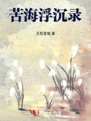 苦海飛龍小說