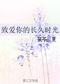 致長久愛你的時光 小說