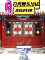 四合院:開局賞賈梗