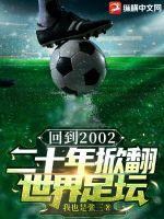 回到2002 小說