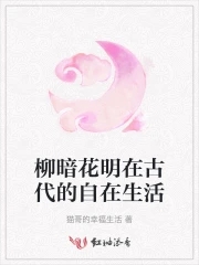 柳暗花明在古代的自在生活這個小說好看嗎