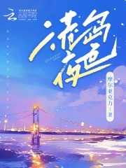 港島夜色書評