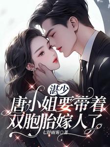 小說湛少的替婚新妻