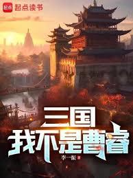 三國我不是謀士小說