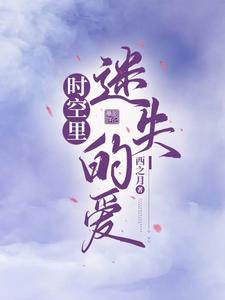 時空中迷路的過客(清穿)小說