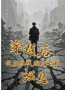 穿越後核彈洗地小說