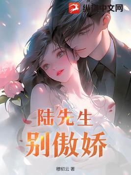 陸先生的情之所至小說