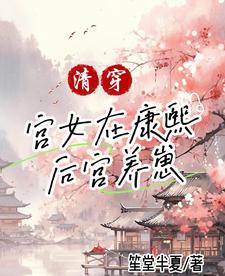 清穿：在康熙後宮做妾室