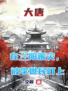 大唐鎮到底多有錢