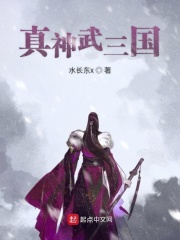 真神武三國小說