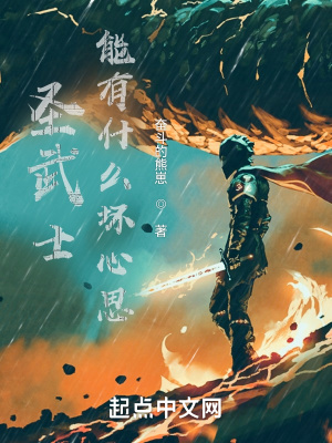 聖武士技能