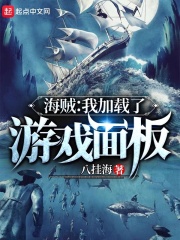 海賊:我載入了遊戲面板好看嗎