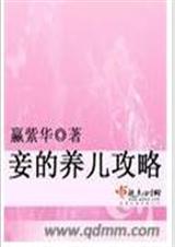 妾的養兒攻略小說